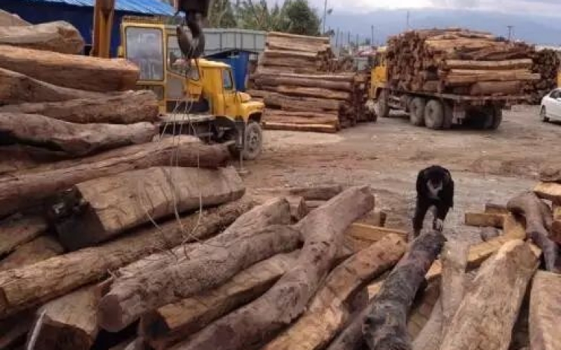 缅甸花梨凭什么，，，价钱一起上涨....